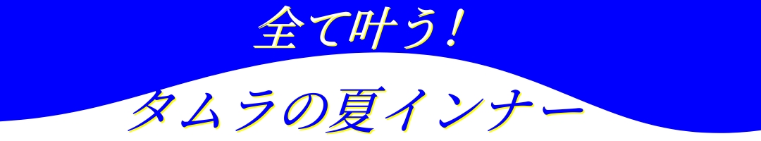 素材で選ぶ夏の補正下着