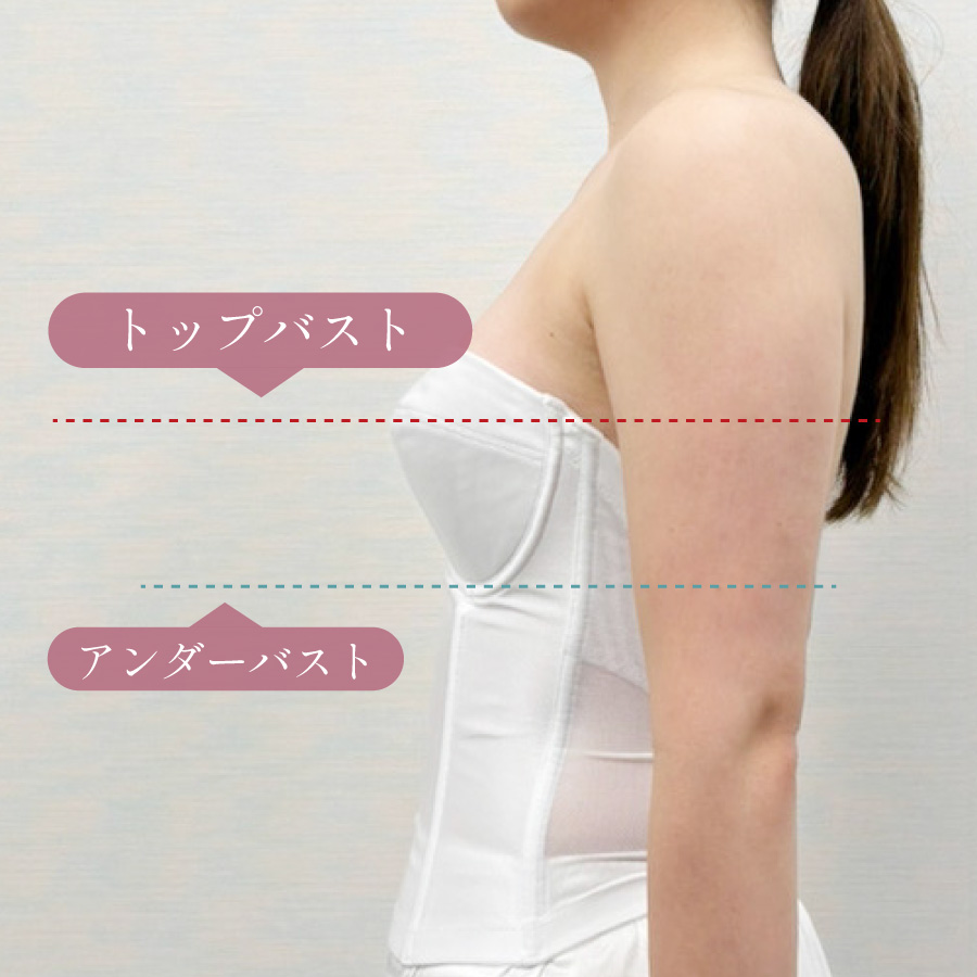 横向きの女性がトップバストとアンダーバストの位置を示している説明画像