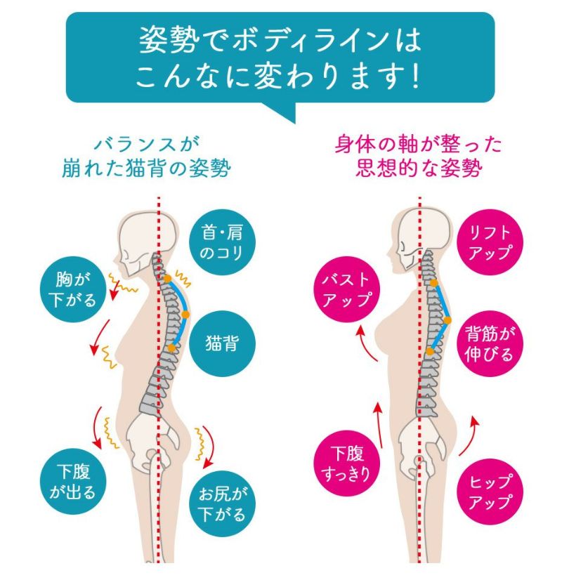 バストアップシェイパー 姿勢コンシャス しっかりmake Xタイプ